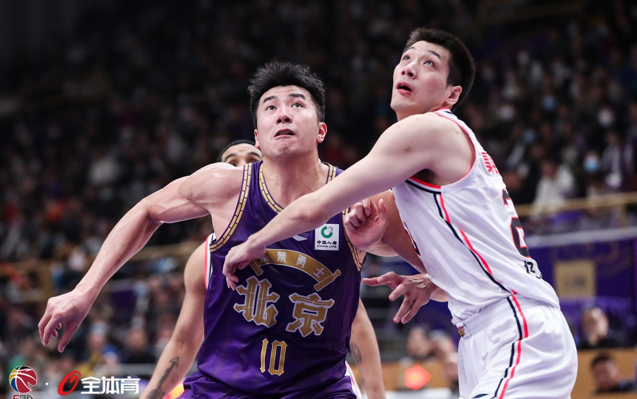 Ning能重回CBA四强再成焦点(广东男篮或面临解散)|体育直播在线观看